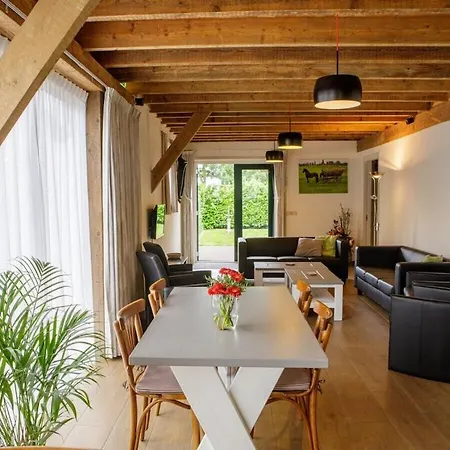 De Rijtuigenschuur Vakantiehuis Goudriaan