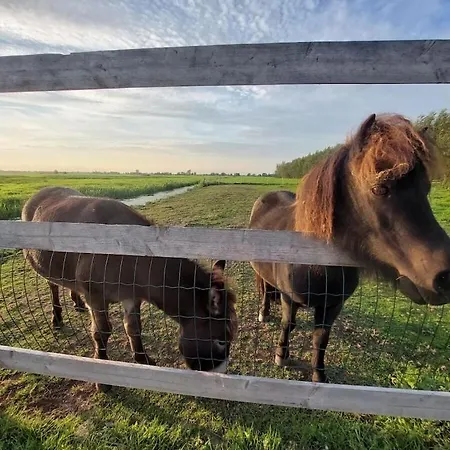 De Rijtuigenschuur 別荘 Goudriaan