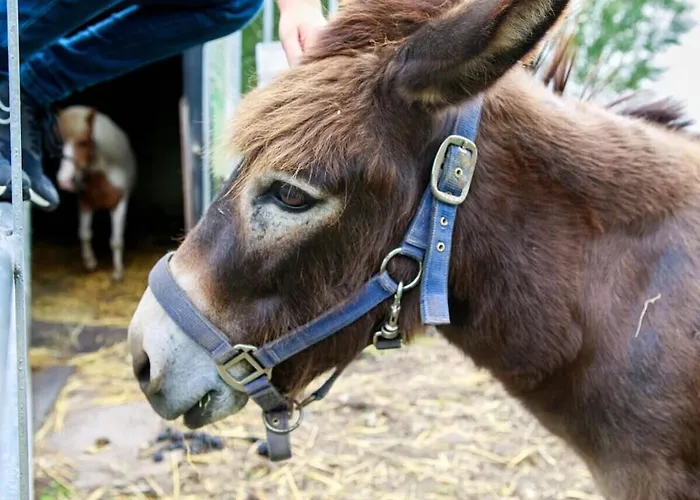 De Rijtuigenschuur *