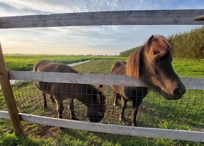 De Rijtuigenschuur Vakantiehuis Goudriaan